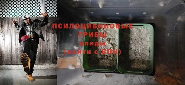 крисы Алзамай