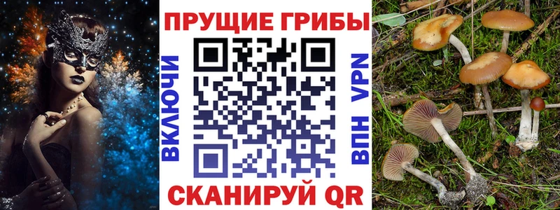 Галлюциногенные грибы прущие грибы  Батайск 
