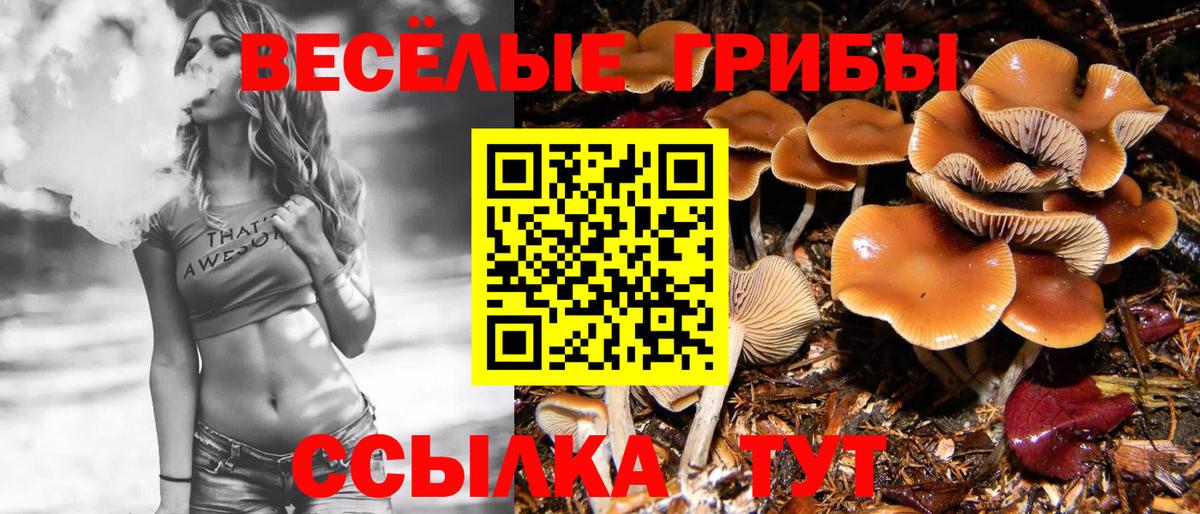 Псилоцибиновые грибы Cubensis  Вход с VPN  Батайск 